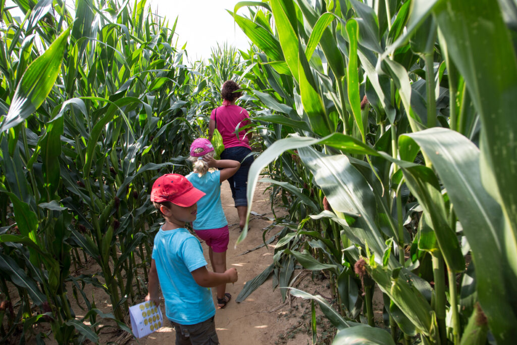 Famille dans le labyrinthe du Thymerais à Saint-Maixme-Hauterive en Eure-et-Loir