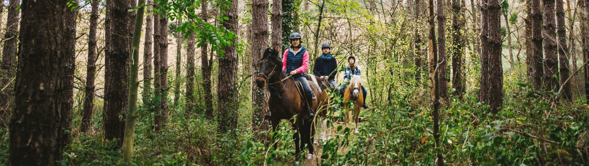 Groupe d'amis en balade à cheval en Eure-et-Loir