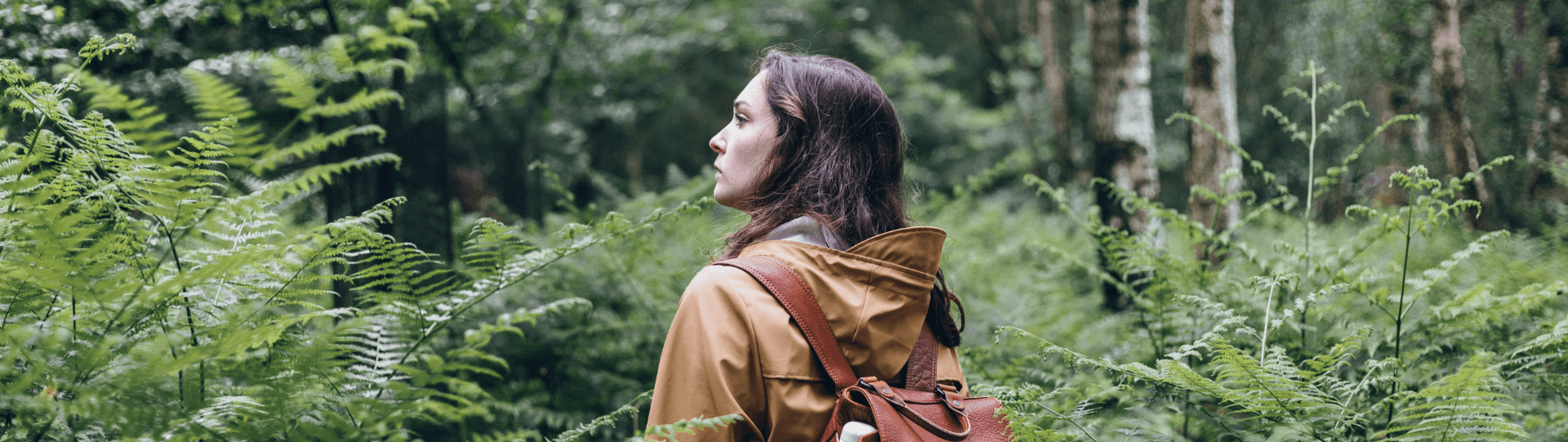 Randonnée pédestre en forêt des Mousseuses à La Ferté-Vidame en Eure-et-Loir