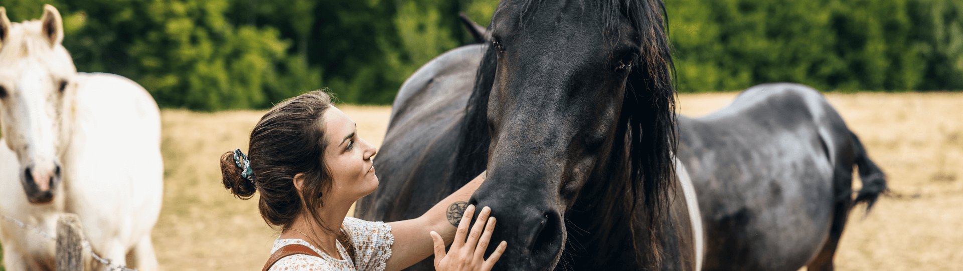 Femme et cheval dans le Perche en Eure-et-Loir